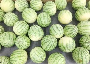 交界地的吃瓜群众,见证风云变幻的民间视角