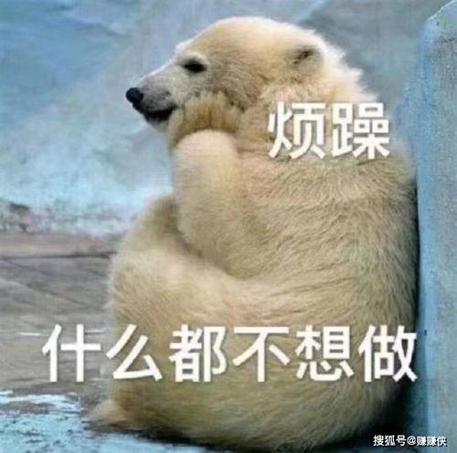 吃瓜群众起飞吧图片表情包,吃瓜群众起飞吧！表情包带你领略欢乐瞬间