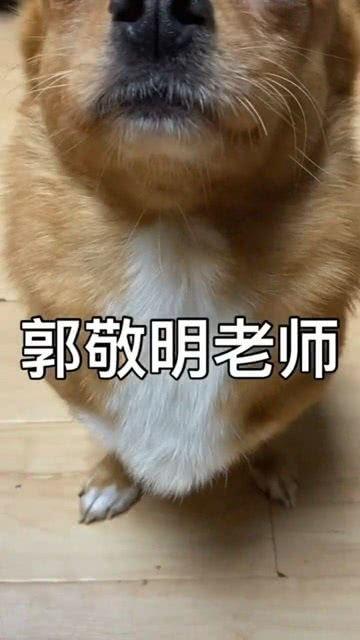 精湛吃瓜群众演技,精湛演绎,谁才是真正的“瓜王”