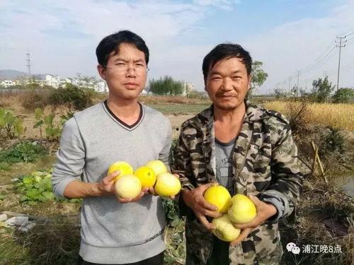 吃瓜群众贫嘴,揭秘娱乐圈背后的八卦风云