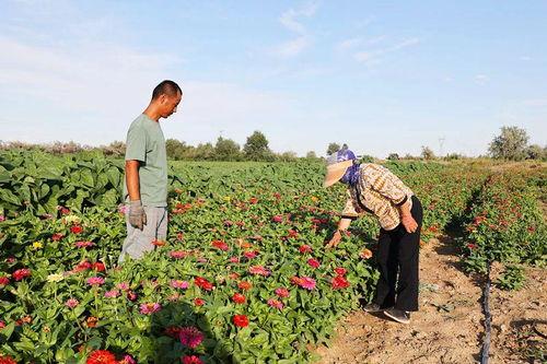 曹县的吃瓜群众是谁,网络热词背后的故事