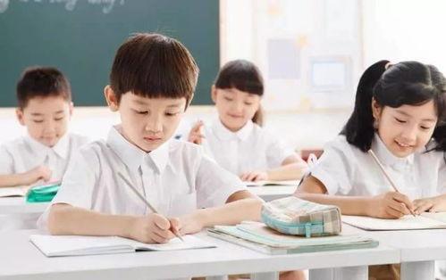 幼儿园吃瓜群众课程反思,寓教于乐中的成长与启示