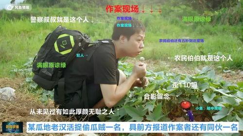 吃瓜群众看抓犯人,吃瓜群众视角下的抓捕犯人瞬间