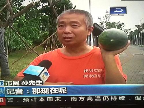 乌布市吃瓜群众事件视频,一场引发热议的网络狂欢