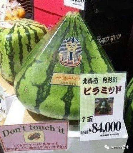 我绝不是吃瓜群众,揭开网络围观背后的真实面目