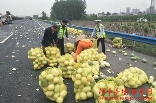 广德吃瓜群众,揭秘当地生活百态